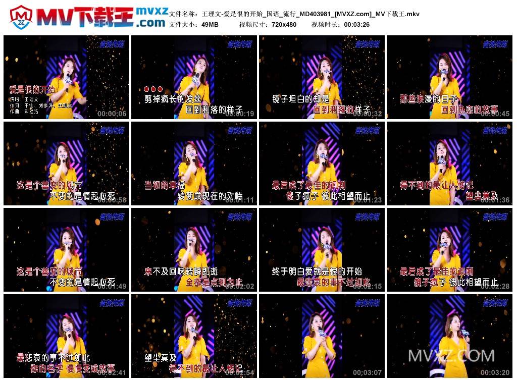 王理文-爱是恨的开始_国语_流行_MD403981